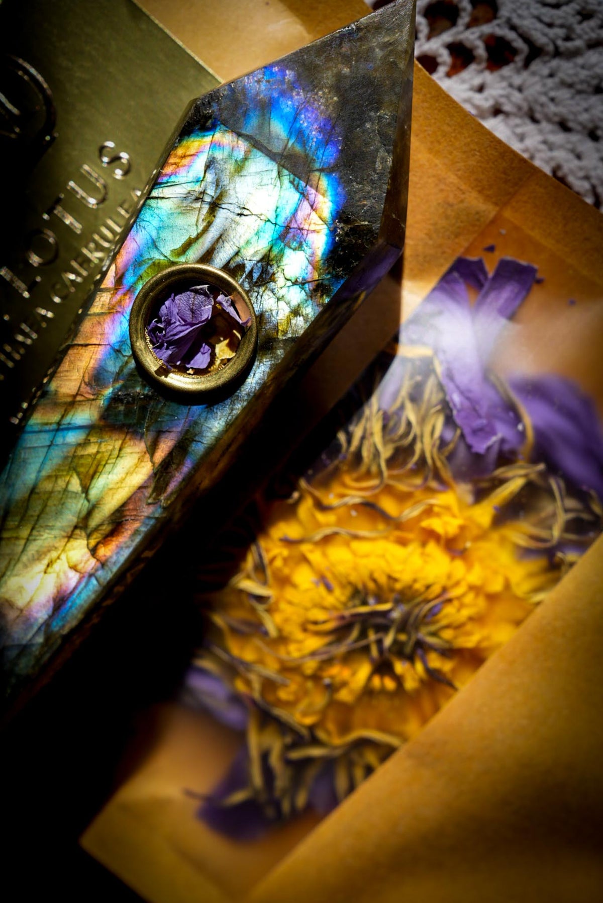 Labradorite Magic Pipe + FREE Dried Blue Lotus